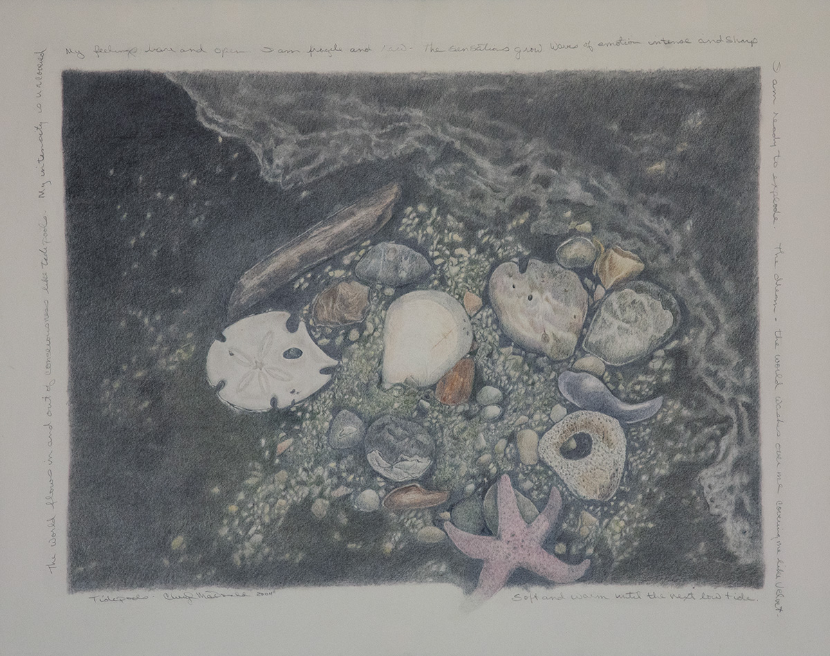 Tide Pools – On to the Next Adventure